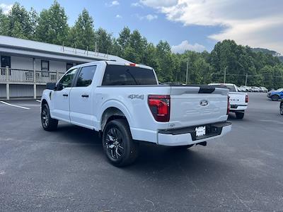 2025 Ford F-150 SuperCrew Cab 4x4 Pickup for sale #T63545 - photo 2