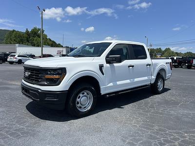 2025 Ford F-150 SuperCrew Cab 4x4 Pickup for sale #T63596 - photo 1