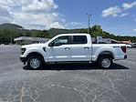 New 2025 Ford F-150 XL SuperCrew Cab 4x4 Pickup for sale #T63596 - photo 8