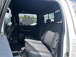 New 2025 Ford F-150 Tremor SuperCrew Cab 4x4 Pickup for sale #T63657 - photo 15
