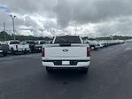 New 2025 Ford F-150 STX SuperCrew Cab 4x4 Pickup for sale #T63674 - photo 7
