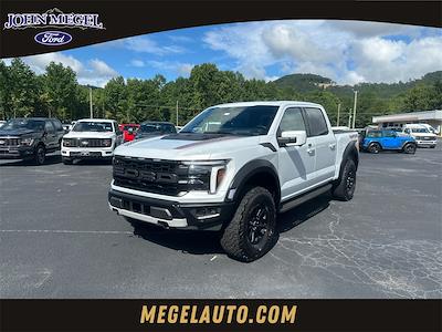 2025 Ford F-150 SuperCrew Cab 4x4 Pickup for sale #T63740 - photo 1
