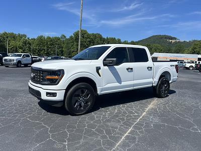 2025 Ford F-150 SuperCrew Cab 4x4 Pickup for sale #T63768 - photo 1