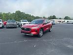 New 2025 Ford Escape ST-Line SUV for sale #T63788 - photo 1