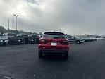 New 2025 Ford Escape ST-Line SUV for sale #T63788 - photo 7