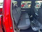 New 2025 Ford F-150 STX SuperCrew Cab 4x4 Pickup for sale #T63806 - photo 14