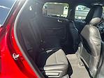 New 2025 Ford Escape ST-Line SUV for sale #T63812 - photo 14