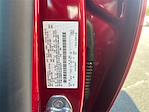 New 2025 Ford Escape ST-Line SUV for sale #T63812 - photo 19