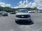 2025 Ford F-150 SuperCrew Cab 4x4 Pickup for sale #T63823 - photo 3