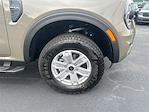 New 2025 Ford Ranger XL SuperCrew Cab Pickup for sale #T63825 - photo 11