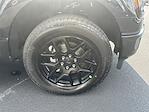 2025 Ford F-150 SuperCrew Cab 4WD Pickup for sale #T63845 - photo 11