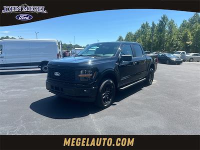 2025 Ford F-150 SuperCrew Cab 4x4 Pickup for sale #T63847 - photo 1