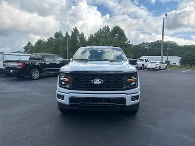 New 2025 Ford F-150 - photo 1