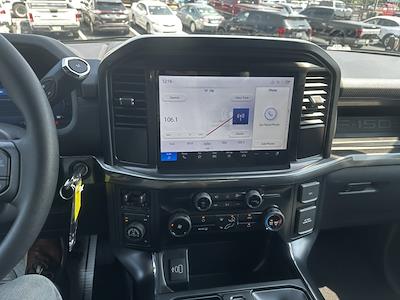 New 2025 Ford F-150 - photo 1