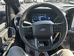 2025 Ford F-150 SuperCrew Cab 4x4 Pickup for sale #T63907 - photo 20