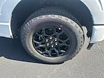 2025 Ford F-150 SuperCrew Cab 4WD Pickup for sale #T63908 - photo 11
