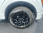 New 2025 Ford F-150 XLT SuperCrew Cab 4WD Pickup for sale #T63986 - photo 11