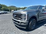 2025 Ford F-250 Crew Cab 4WD Pickup for sale #T63999 - photo 10