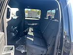 New 2025 Ford F-150 XLT SuperCrew Cab 4WD Pickup for sale #T64024 - photo 15