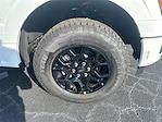 New 2025 Ford F-150 XLT SuperCrew Cab 4WD Pickup for sale #T64028 - photo 11