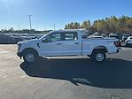 New 2025 Ford F-150 XL SuperCrew Cab 4WD Pickup for sale #T64067 - photo 8