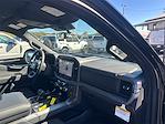 New 2025 Ford F-150 XLT SuperCrew Cab 4WD Pickup for sale #T64076 - photo 12