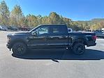 New 2025 Ford F-150 XLT SuperCrew Cab 4WD Pickup for sale #T64076 - photo 8