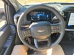 2025 Ford F-150 Regular Cab RWD Pickup for sale #T64292 - photo 18