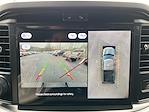 New 2025 Ford F-150 XLT SuperCrew Cab for sale #T64381 - photo 24