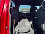 New 2025 Ford F-150 STX SuperCrew Cab 4WD Pickup for sale #T64453 - photo 11