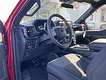 New 2025 Ford F-150 STX SuperCrew Cab 4WD Pickup for sale #T64453 - photo 13