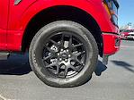 New 2025 Ford F-150 STX SuperCrew Cab 4WD Pickup for sale #T64453 - photo 16