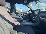 New 2026 Ford F-150 XLT SuperCrew Cab for sale #T64882 - photo 12