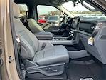 New 2025 Ford F-150 XLT SuperCrew Cab for sale #T64905 - photo 12