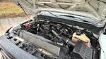 Used 2014 Ford F-250 Regular Cab for sale #A582 - photo 18