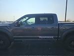 2017 Ford F-150 SuperCrew Cab 4x4 Pickup for sale #UCF1114AA - photo 7