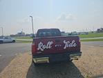 2015 Ford F-250 Crew Cab 4x4 Pickup for sale #CF1713A - photo 6