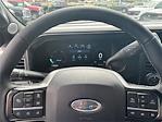 2024 Ford F-250 Crew Cab 4WD Pickup for sale #CF1675 - photo 12