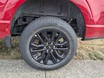 New 2025 Ford F-150 XLT SuperCrew Cab for sale #CF2111 - photo 25