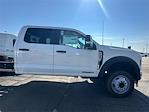 2024 Ford F-450 Crew Cab DRW RWD Cab Chassis for sale #FCF1684 - photo 6
