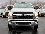 2024 Chevrolet Silverado 5500 Regular Cab DRW RWD, Knapheide Steel Service Body Service Truck for sale #ZC5010F - photo 5