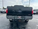 2015 Ford F-250 Crew Cab 4x4 Pickup for sale #MA19378B - photo 8