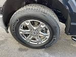 2023 Ford F-150 SuperCrew Cab 4WD Pickup for sale #FU11503 - photo 38