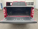 2013 Ford F-150 SuperCrew Cab 4WD Pickup for sale #FU11516A - photo 19