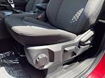 New 2025 Ford Ranger XLT SuperCrew Cab 4WD Pickup for sale #HF3363 - photo 8