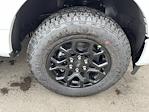 2025 Ford F-150 SuperCrew Cab 4WD Pickup for sale #HF3446 - photo 33