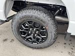 2025 Ford F-150 SuperCrew Cab 4WD Pickup for sale #HF3446 - photo 34