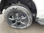2025 Ford F-150 Lightning SuperCrew Cab AWD Pickup for sale #HF3448 - photo 41