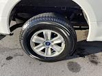 2017 Ford F-150 SuperCrew Cab 4WD Pickup for sale #HF3527A - photo 35