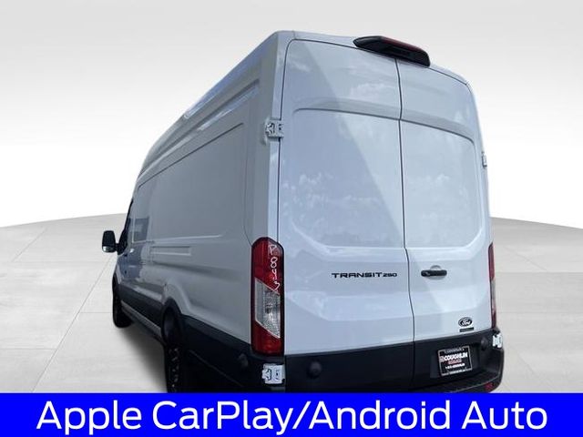 New 2026 Ford Transit 250 - photo 5